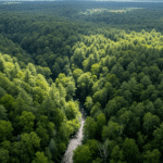 پایایی Sustainability