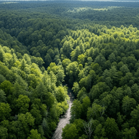 پایایی Sustainability